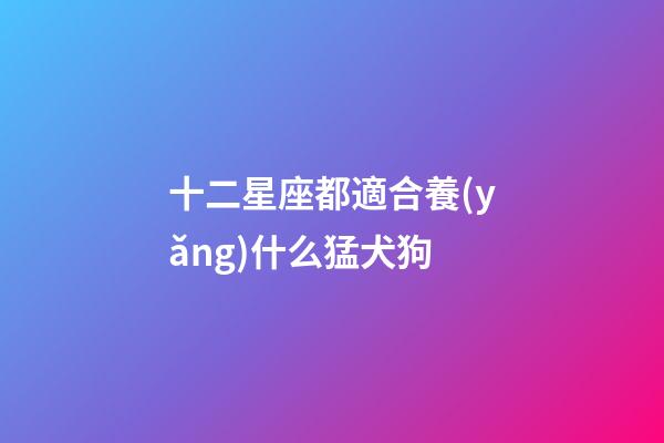 十二星座都適合養(yǎng)什么猛犬狗-第1張-星座運(yùn)勢-玄機(jī)派