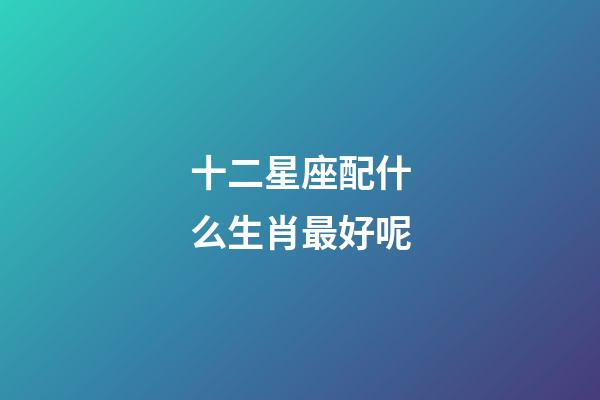 十二星座配什么生肖最好呢-第1張-星座運勢-玄機派