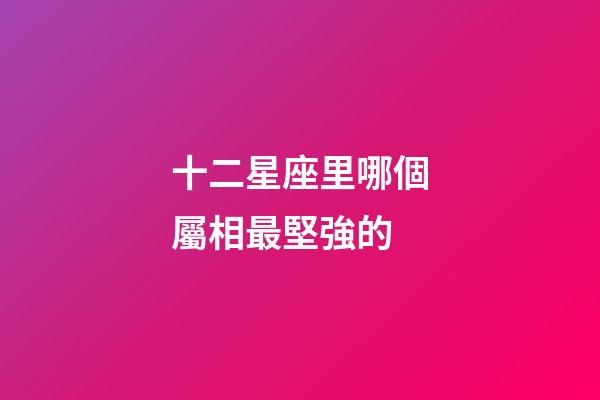 十二星座里哪個屬相最堅強的-第1張-星座運勢-玄機派