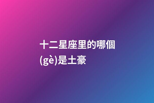 十二星座里的哪個(gè)是土豪-第1張-星座運(yùn)勢-玄機(jī)派