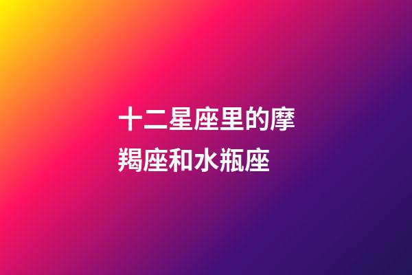 十二星座里的摩羯座和水瓶座-第1張-星座運勢-玄機派