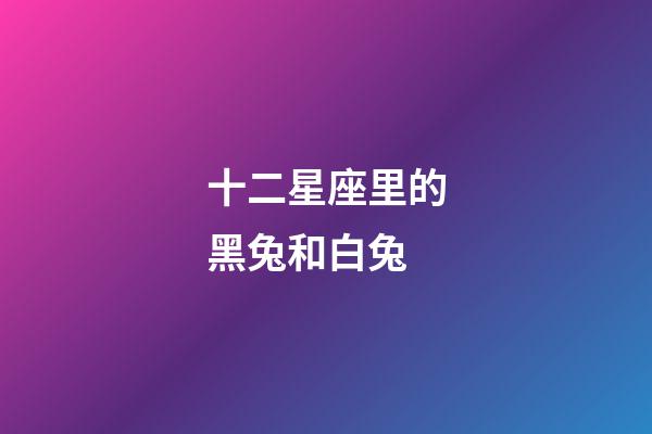 十二星座里的黑兔和白兔-第1張-星座運(yùn)勢-玄機(jī)派
