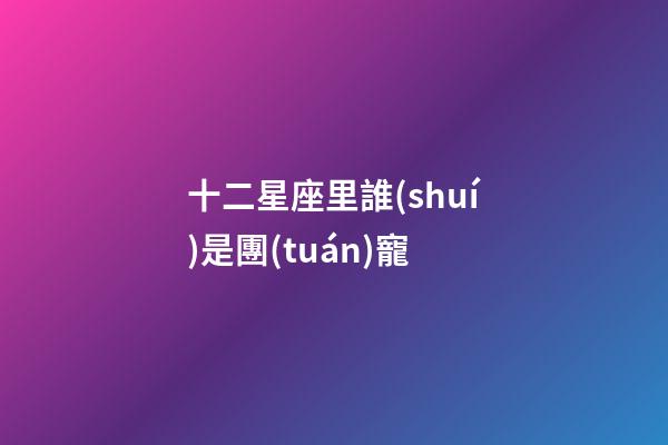 十二星座里誰(shuí)是團(tuán)寵-第1張-星座運(yùn)勢(shì)-玄機(jī)派