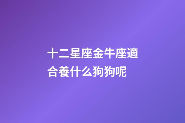 十二星座金牛座適合養什么狗狗呢-第1張-星座運勢-玄機派
