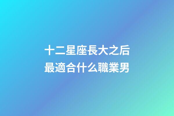 十二星座長大之后最適合什么職業男-第1張-星座運勢-玄機派