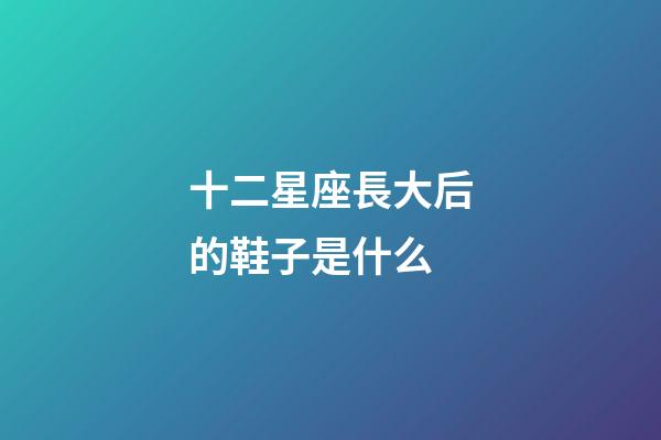 十二星座長大后的鞋子是什么-第1張-星座運勢-玄機派