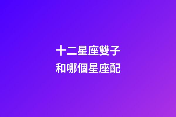 十二星座雙子和哪個星座配-第1張-星座運勢-玄機派