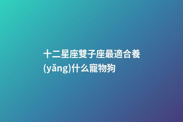 十二星座雙子座最適合養(yǎng)什么寵物狗-第1張-星座運勢-玄機派