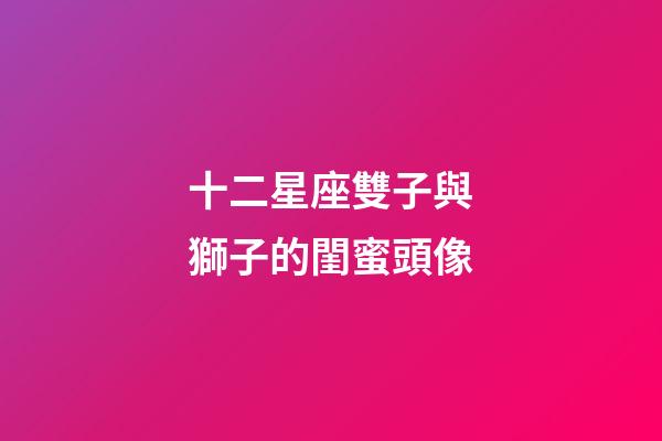 十二星座雙子與獅子的閨蜜頭像-第1張-星座運(yùn)勢(shì)-玄機(jī)派