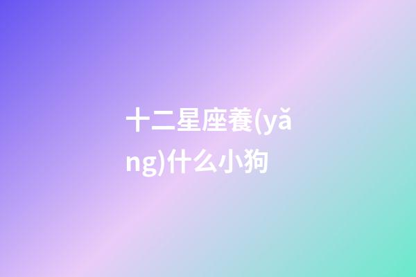 十二星座養(yǎng)什么小狗-第1張-星座運(yùn)勢(shì)-玄機(jī)派