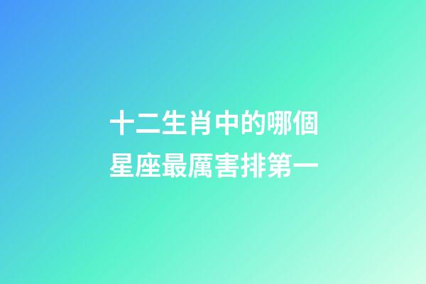 十二生肖中的哪個星座最厲害排第一-第1張-星座運勢-玄機派
