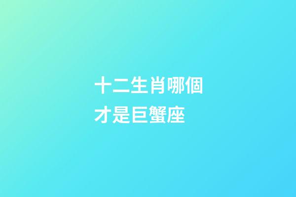 十二生肖哪個才是巨蟹座-第1張-星座運勢-玄機派