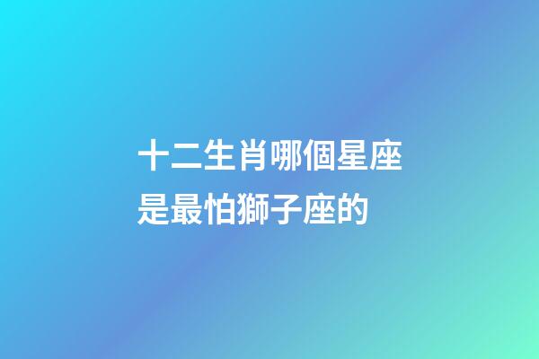 十二生肖哪個星座是最怕獅子座的-第1張-星座運勢-玄機派