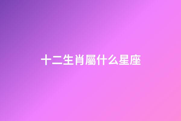 十二生肖屬什么星座-第1張-星座運勢-玄機派