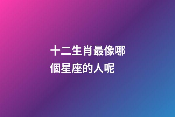 十二生肖最像哪個星座的人呢-第1張-星座運勢-玄機派