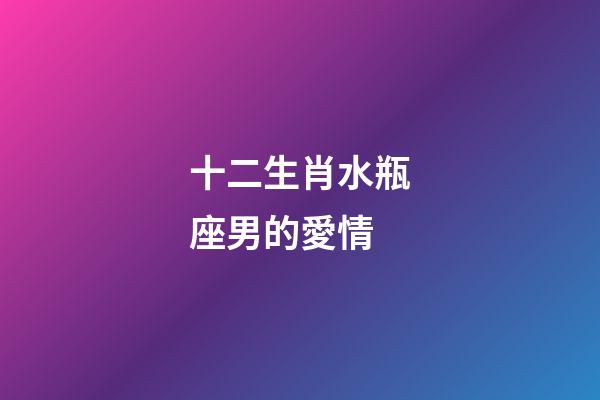 十二生肖水瓶座男的愛情-第1張-星座運勢-玄機派