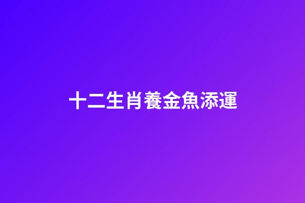 十二生肖養金魚添運