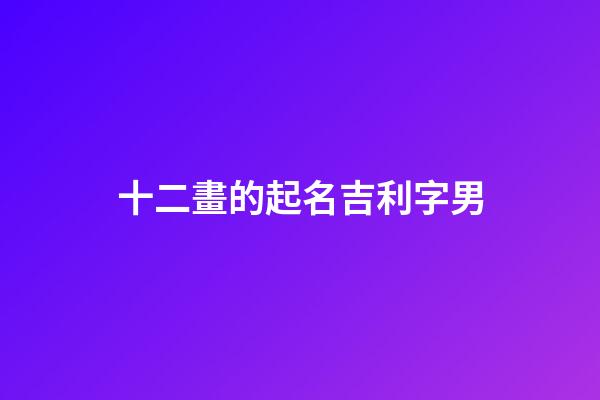 十二畫的起名吉利字男(十二畫的字有哪些起名字用字男孩)-第1張-男孩起名-玄機(jī)派