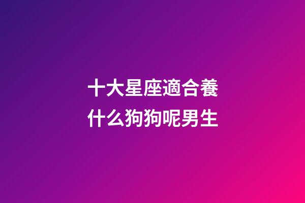 十大星座適合養什么狗狗呢男生-第1張-星座運勢-玄機派