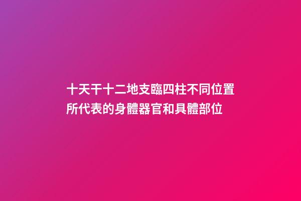 十天干十二地支臨四柱不同位置所代表的身體器官和具體部位
