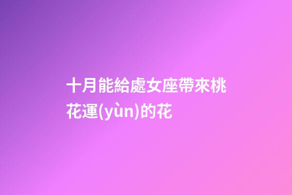 十月能給處女座帶來桃花運(yùn)的花-第1張-星座運(yùn)勢-玄機(jī)派
