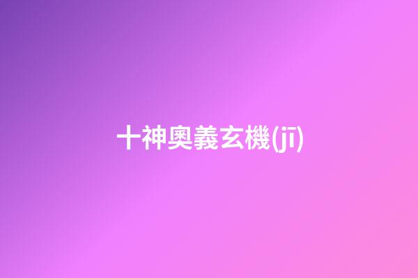 十神奧義玄機(jī)