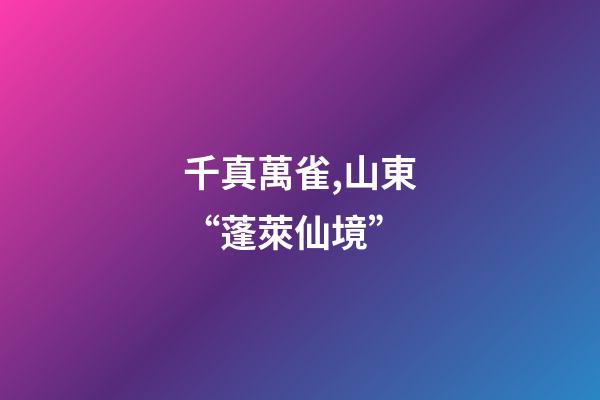 千真萬雀,山東“蓬萊仙境”-第1張-觀點-玄機派