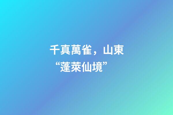 千真萬雀，山東“蓬萊仙境”-第1張-觀點-玄機派