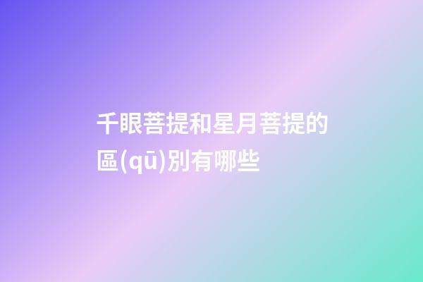 千眼菩提和星月菩提的區(qū)別有哪些