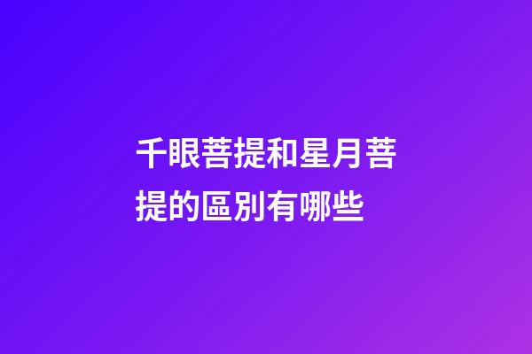 千眼菩提和星月菩提的區別有哪些