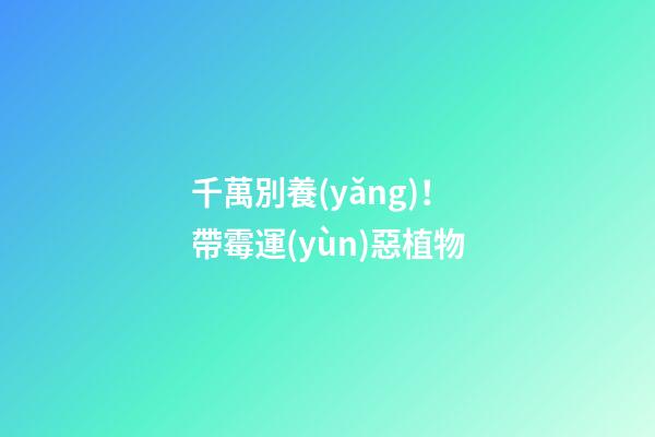 千萬別養(yǎng)！帶霉運(yùn)惡植物