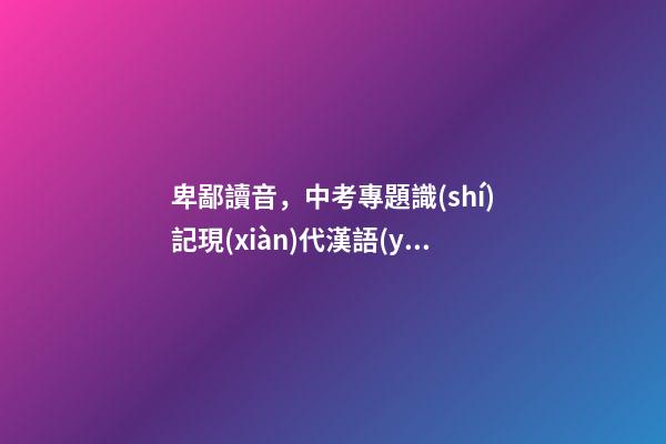 卑鄙讀音，中考專題識(shí)記現(xiàn)代漢語(yǔ)普通話常用字的字音-第1張-觀點(diǎn)-玄機(jī)派