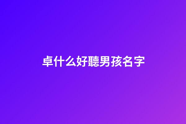 卓什么好聽男孩名字(卓名字男孩取名)-第1張-男孩起名-玄機派