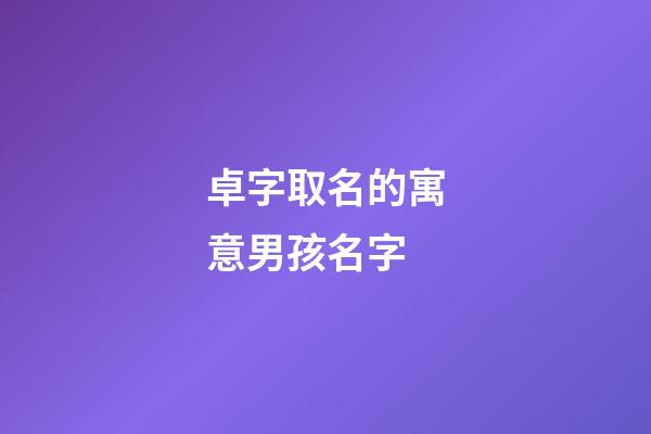 卓字取名的寓意男孩名字(卓字取名的寓意男孩名字怎么取)-第1張-男孩起名-玄機派