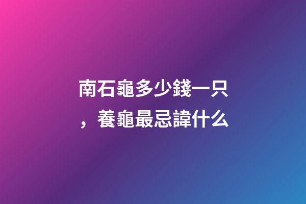 南石龜多少錢一只，養龜最忌諱什么-第1張-觀點-玄機派