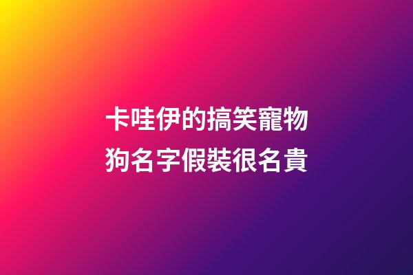 卡哇伊的搞笑寵物狗名字假裝很名貴
