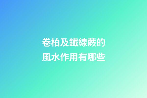 卷柏及鐵線蕨的風水作用有哪些?