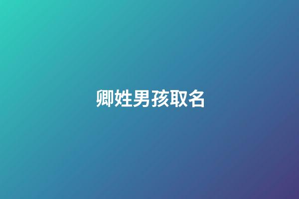 卿姓男孩取名(男孩姓卿配哪個(gè)字好聽)-第1張-男孩起名-玄機(jī)派