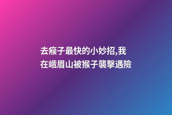 去瘊子最快的小妙招,我在峨眉山被猴子襲擊遇險-第1張-觀點(diǎn)-玄機(jī)派
