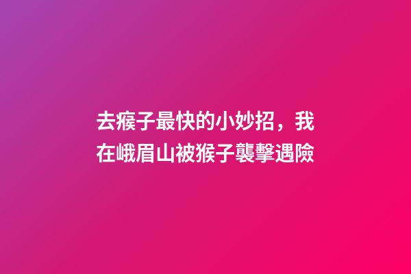 去瘊子最快的小妙招，我在峨眉山被猴子襲擊遇險-第1張-觀點(diǎn)-玄機(jī)派