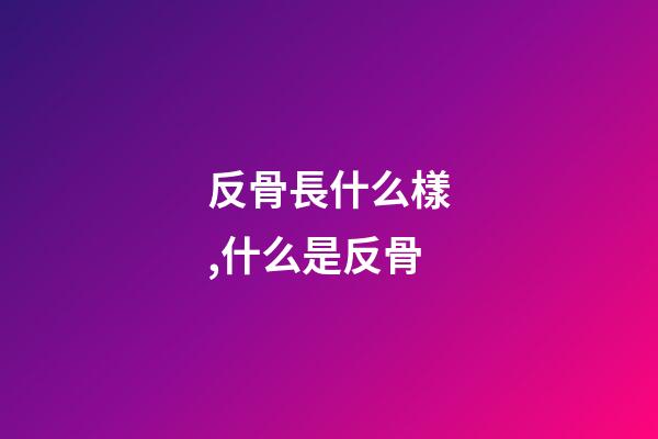 反骨長什么樣,什么是反骨