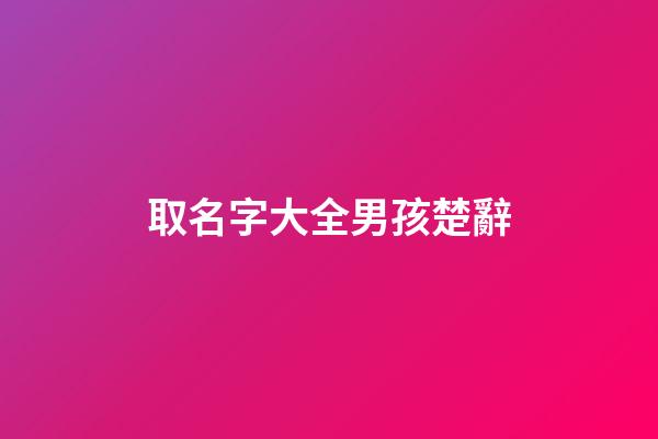 取名字大全男孩楚辭(取名字大全男孩楚辭怎么取)-第1張-男孩起名-玄機派
