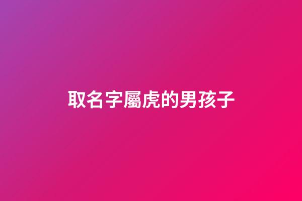 取名字屬虎的男孩子(取名字屬虎的男孩子好嗎)-第1張-男孩起名-玄機(jī)派
