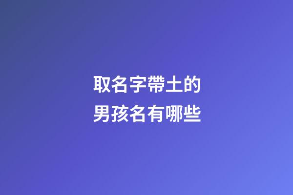 取名字帶土的男孩名有哪些(取名字帶土的男孩名字大全)-第1張-男孩起名-玄機派