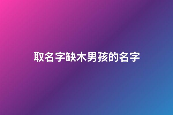 取名字缺木男孩的名字(缺木的男孩名字大全集免費)-第1張-男孩起名-玄機派