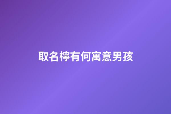 取名檸有何寓意男孩(檸取名有什么含義)-第1張-男孩起名-玄機派