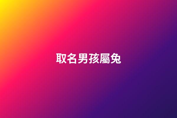 取名男孩屬兔(男孩屬兔起什么名字好)-第1張-男孩起名-玄機(jī)派