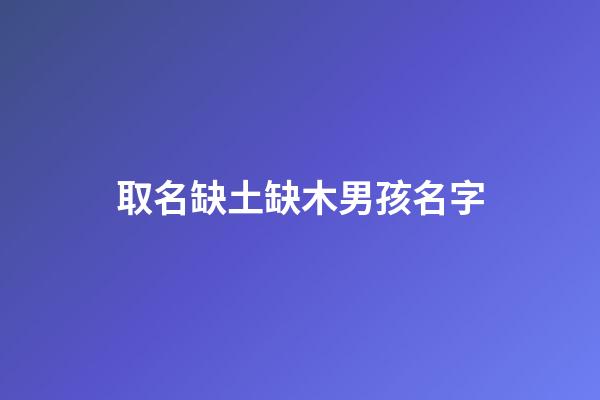 取名缺土缺木男孩名字(缺土缺木的男孩名字)-第1張-男孩起名-玄機派