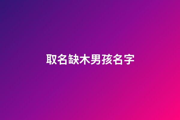 取名缺木男孩名字(取名字缺木男孩名字)-第1張-男孩起名-玄機派