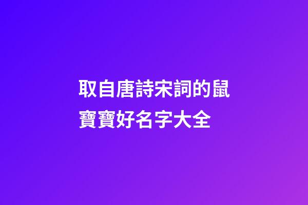 取自唐詩宋詞的鼠寶寶好名字大全